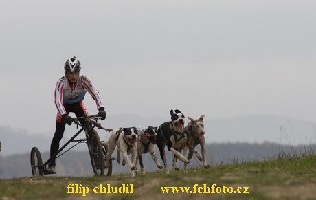 Trnavka 08 - 408.jpg